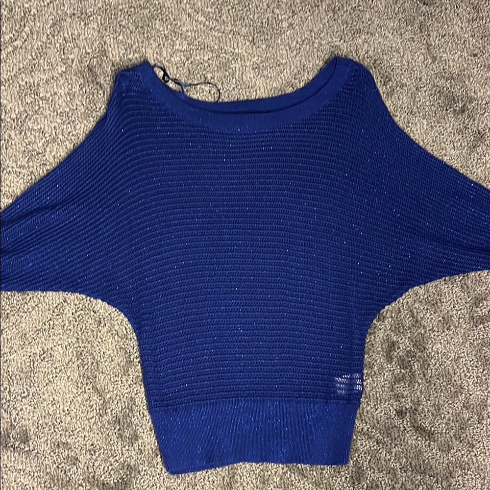 Elegant Blue Women's Sweater